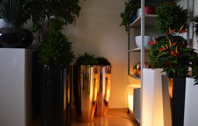 renew showroom 01.jpg renew showroom 01.jpg